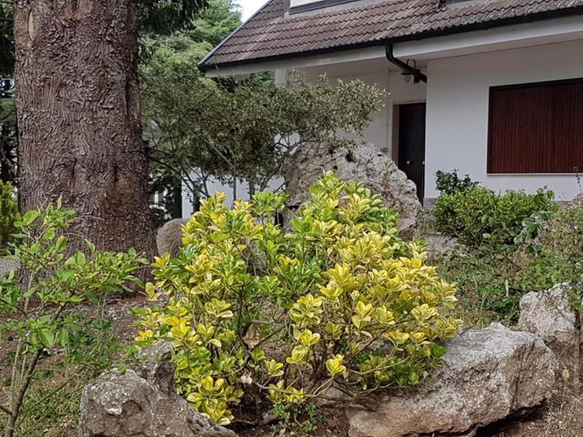 Le Conifere Apartment Pignola Exterior foto