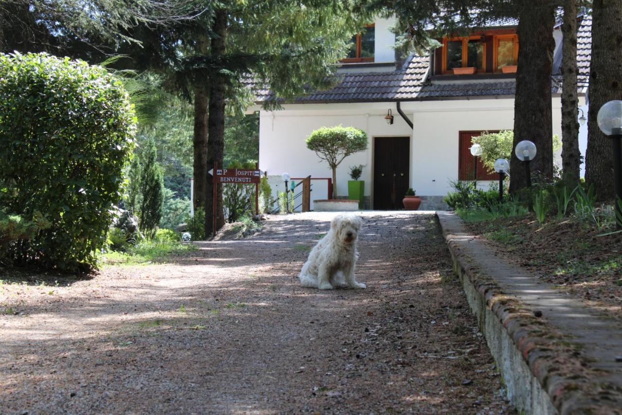 Le Conifere Apartment Pignola Exterior foto