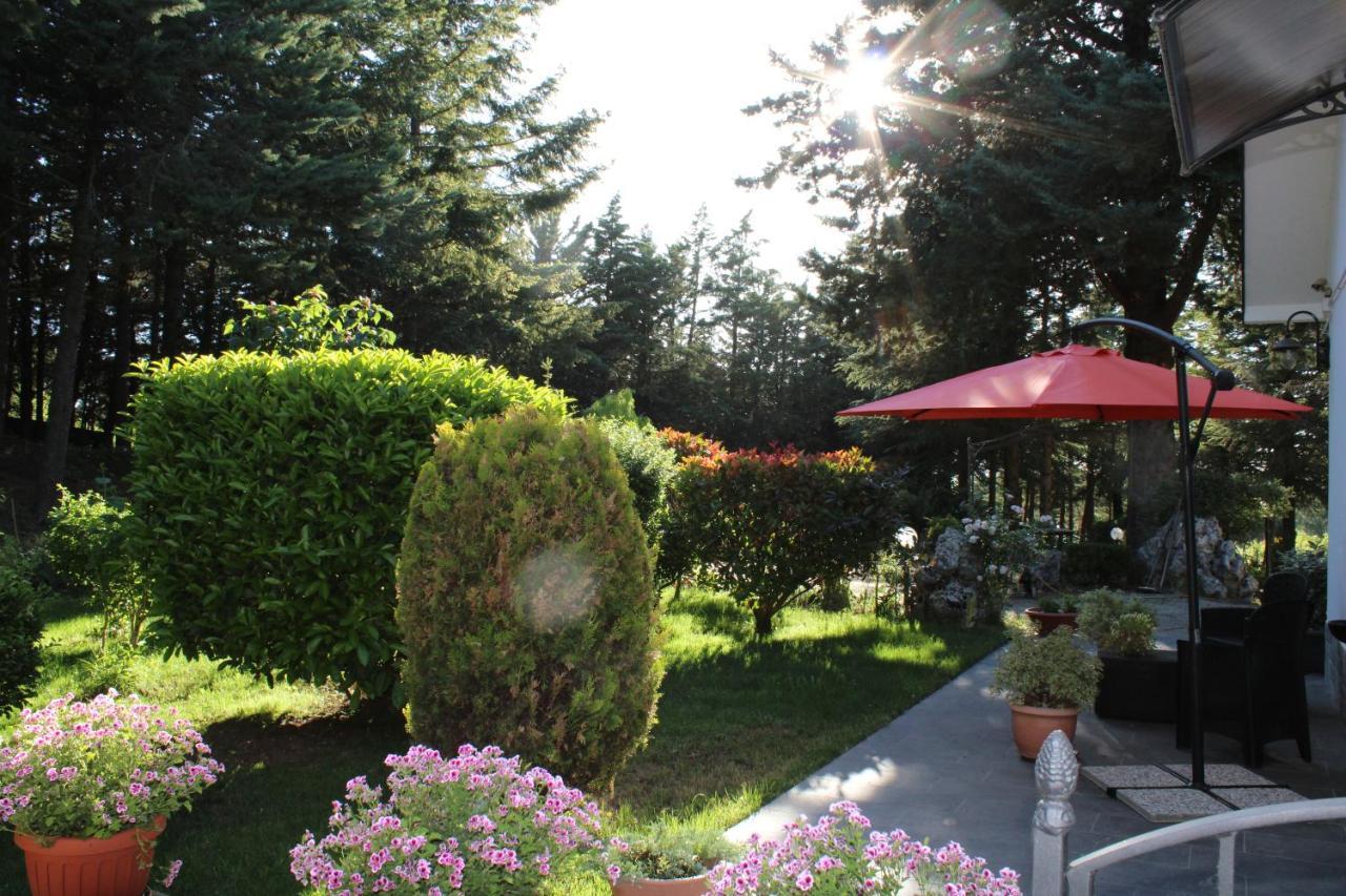 Le Conifere Apartment Pignola Exterior foto